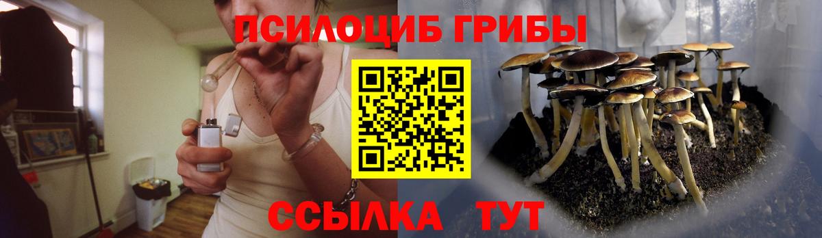 Галлюциногенные грибы мицелий  как найти наркотики  Шелехов  Вход с VPN  Галлюциногенные грибы мицелий 